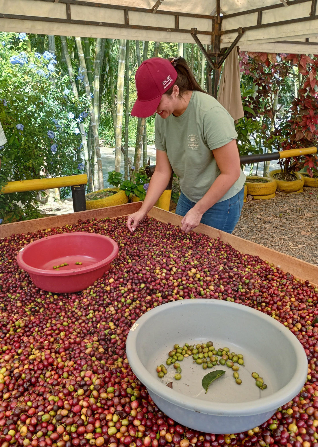 "Finca Amigos" 🇨🇴