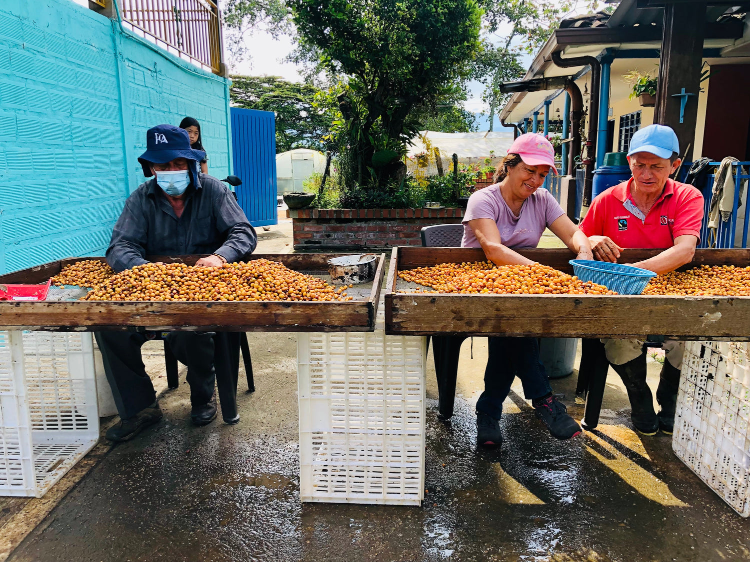 Café de Perú