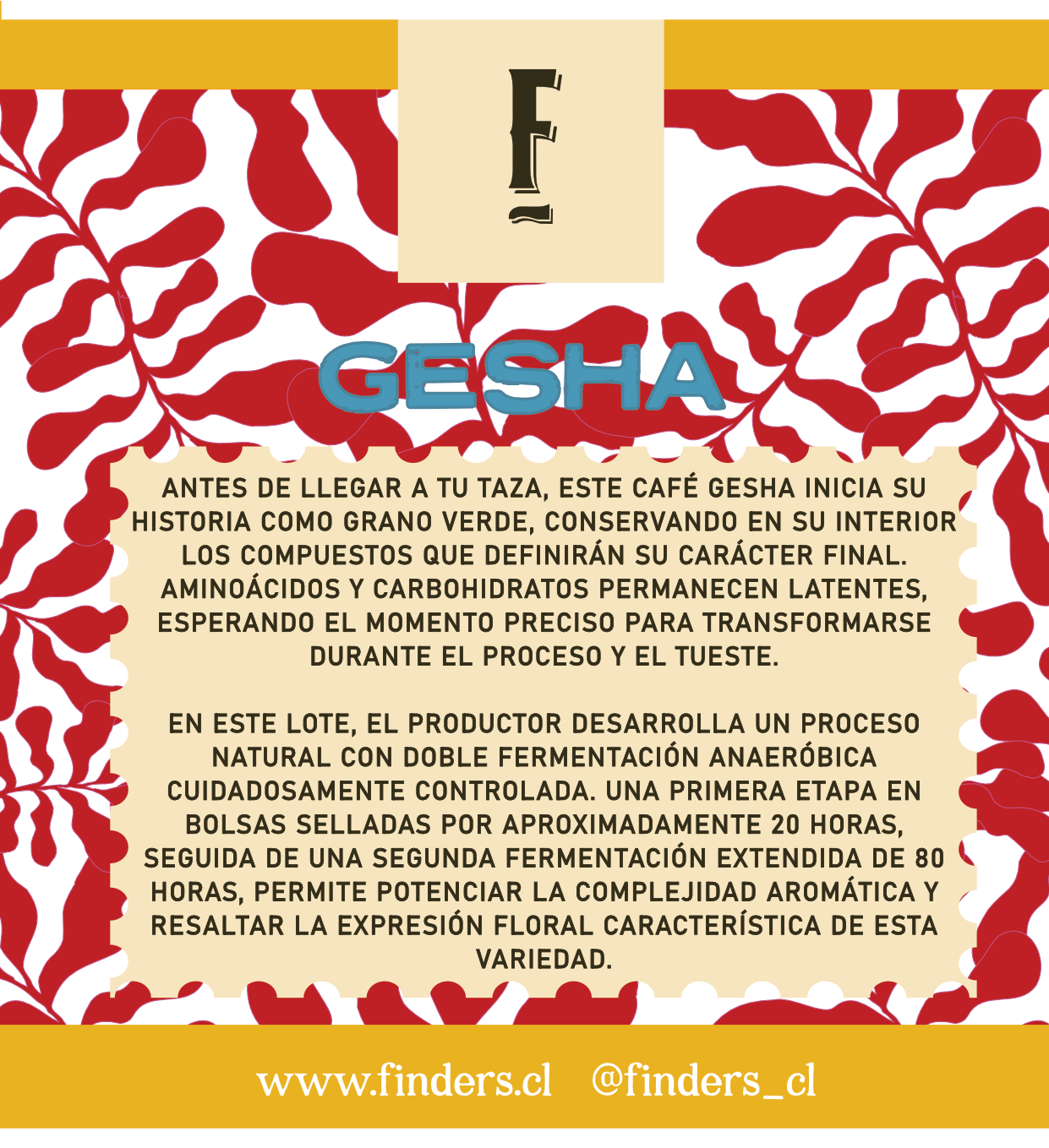 Perú · Cajamarca · Jaén - Variedad - Gesha - Finca: Montalvan - Altura: 1.850 msnm - Proceso: Natural 100 H